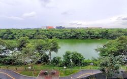 Kingsford Waterbay (D19), Apartment #638055491